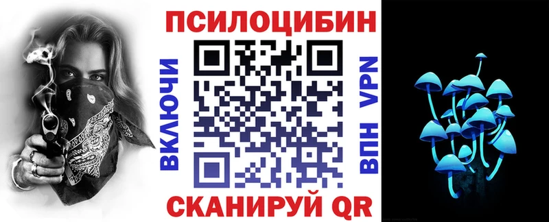 купить наркотики цена Ржев Псилоцибиновые грибы Cubensis